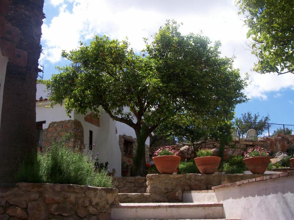Casa De Abajo Villa Prado Del Rey Eksteriør bilde