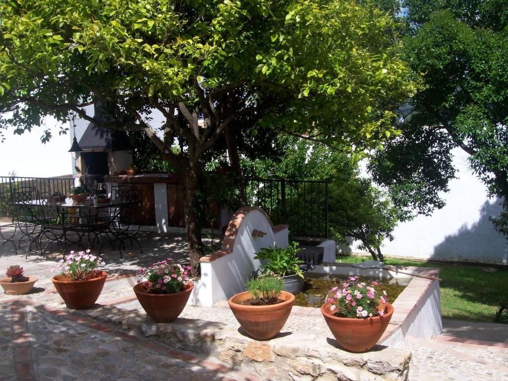 Casa De Abajo Villa Prado Del Rey Eksteriør bilde